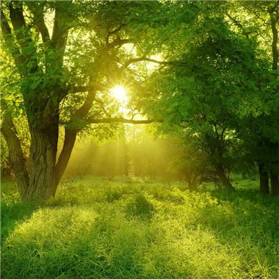 AOA体育下载手机版